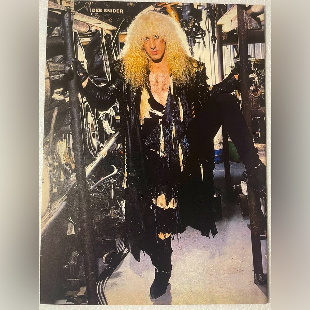 Twisted Sister Dee Snider pinup